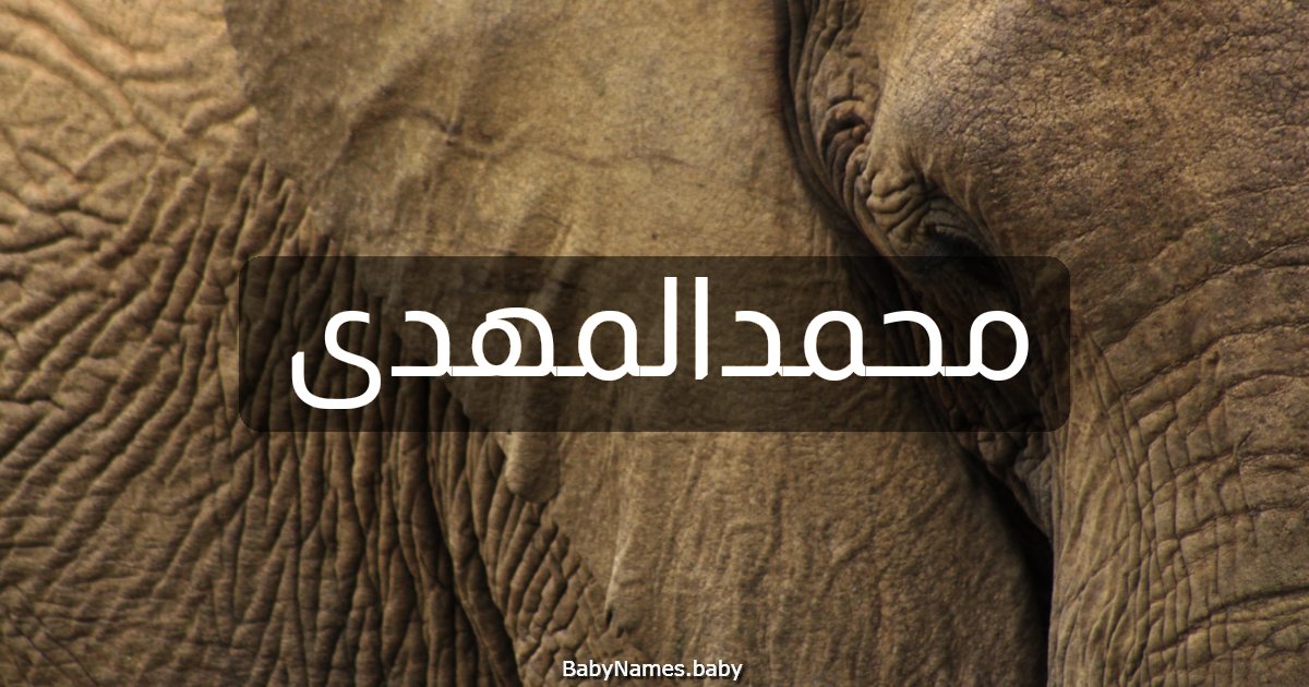 محمدالمهدى