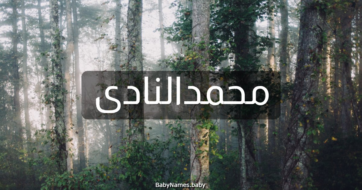 محمدالنادى