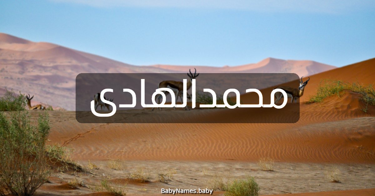 محمدالهادى