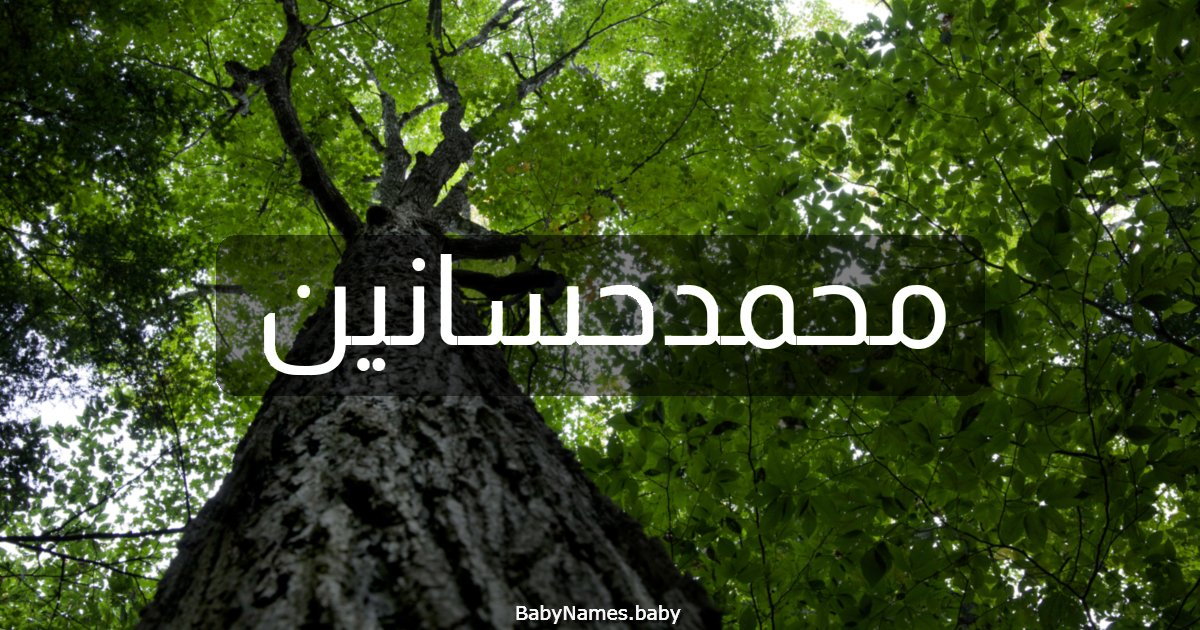 محمدحسانين