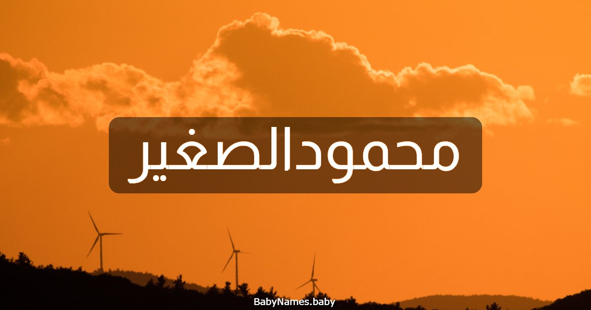 محمودالصغير