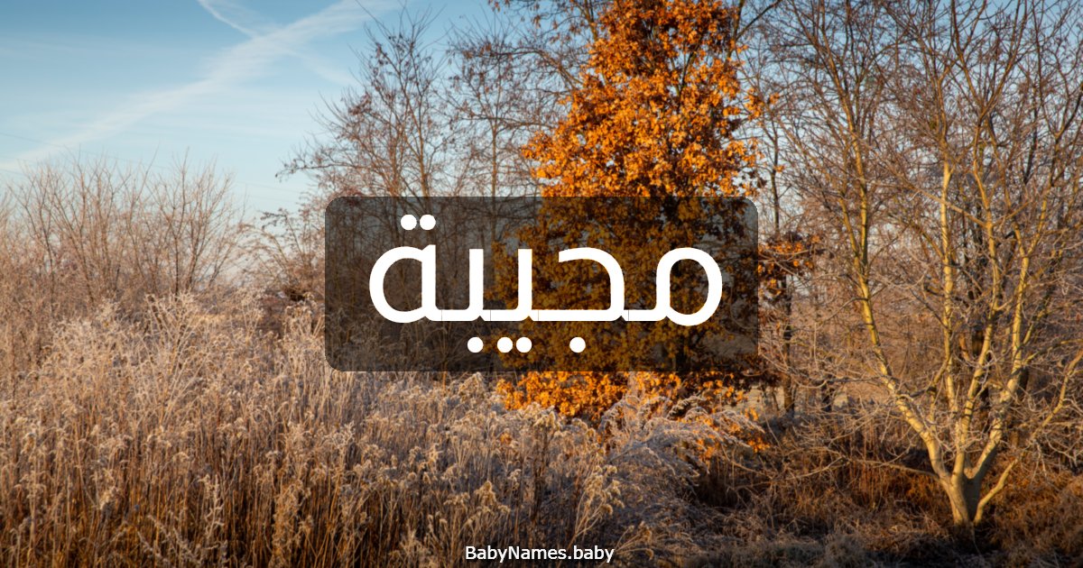 مجيبة