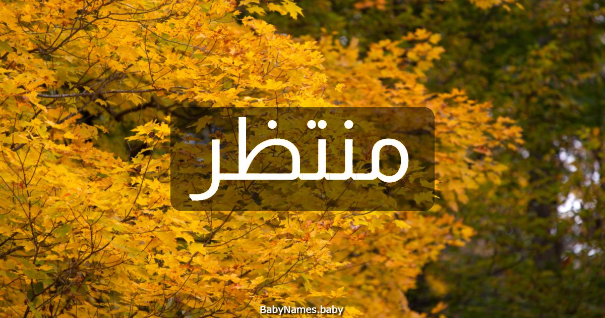 منتظر