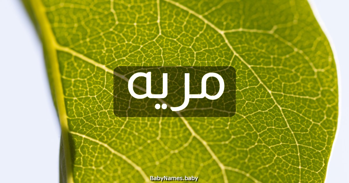 مريه