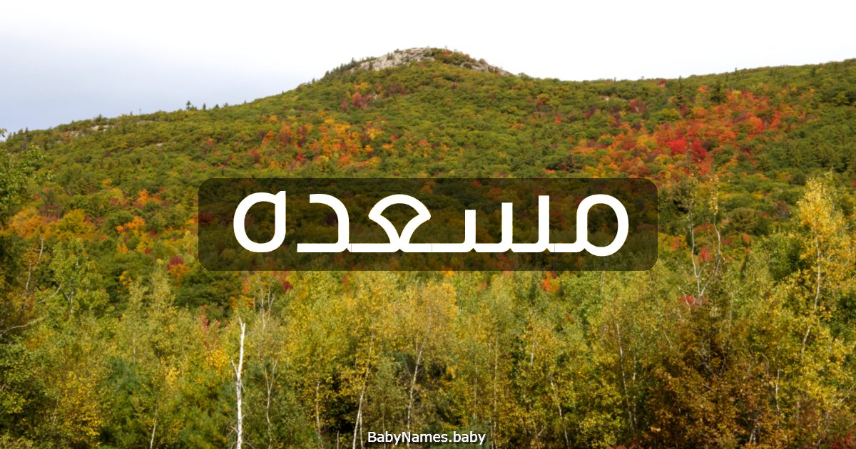 مسعده