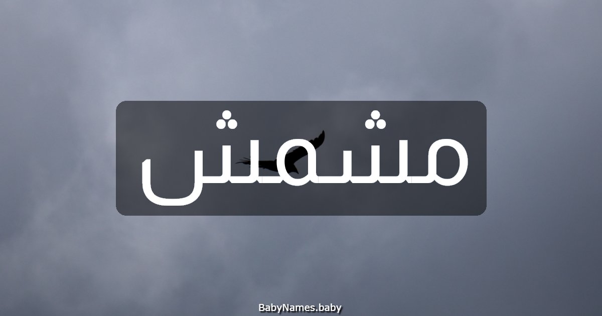 مشمش