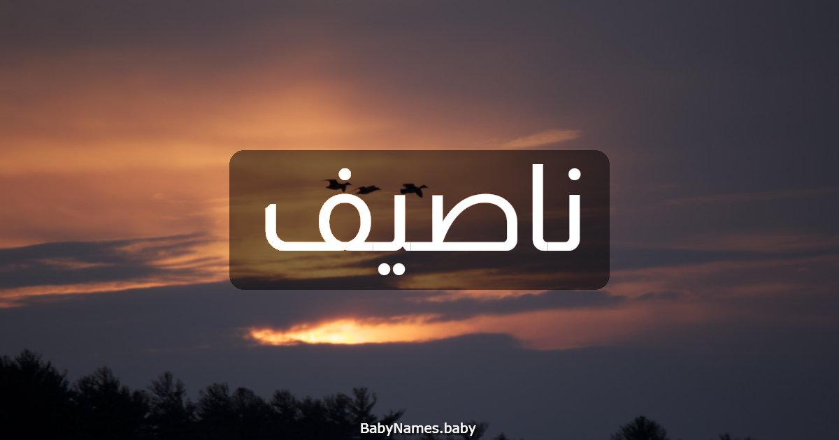 ناصيف