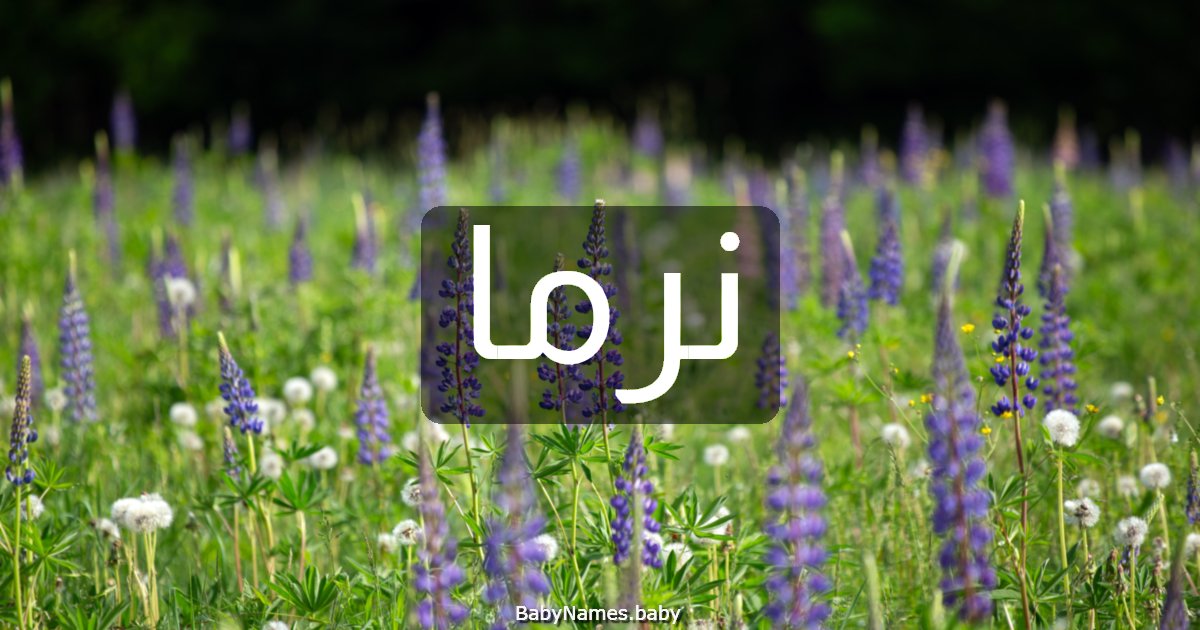 نرما