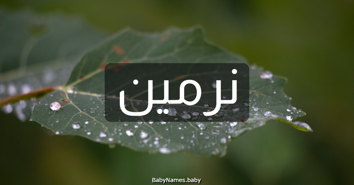 نرمين