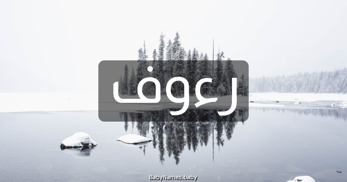 رءوف
