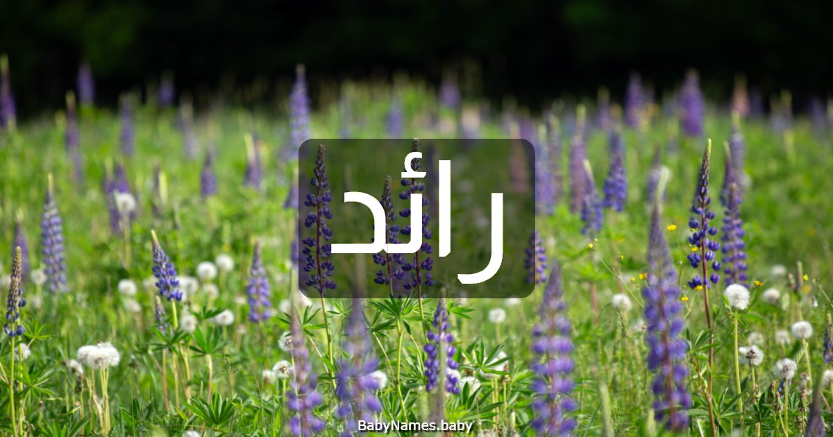 رائد