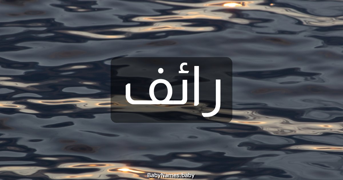 رائف
