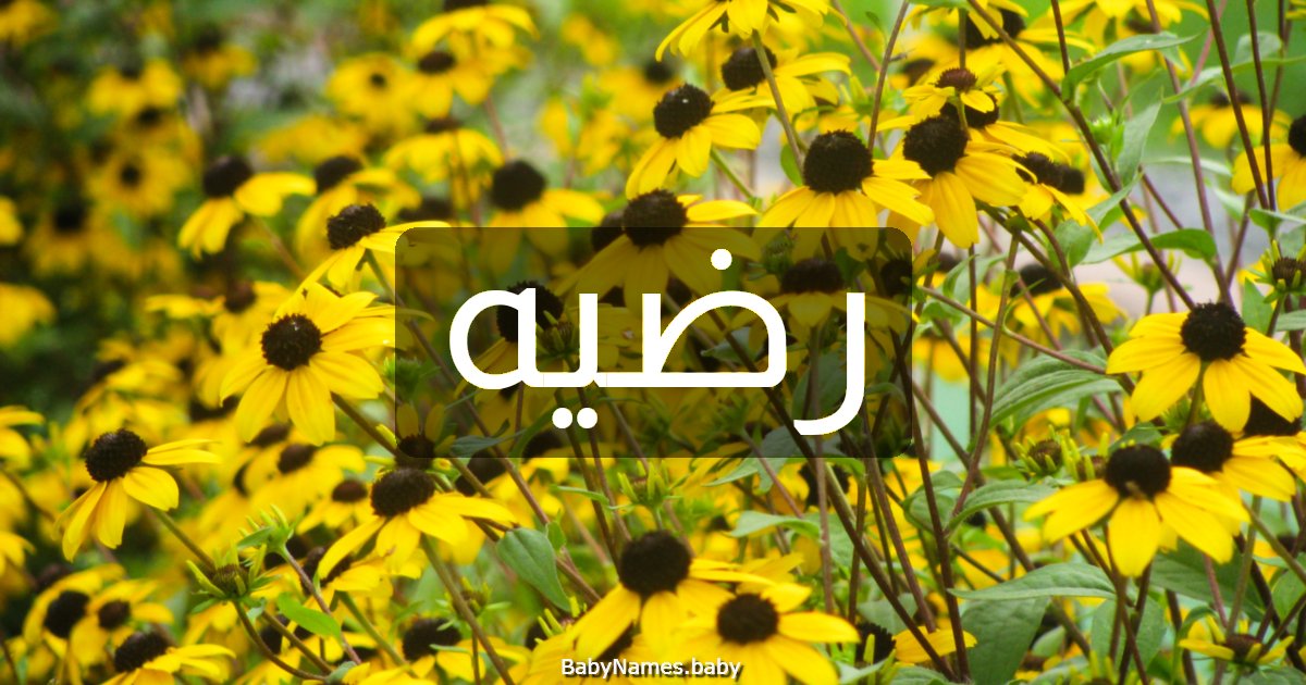 رضيه