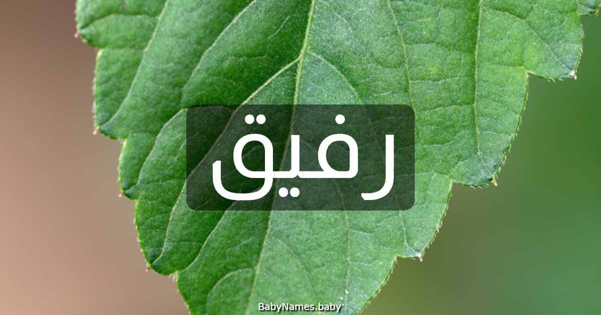 رفيق