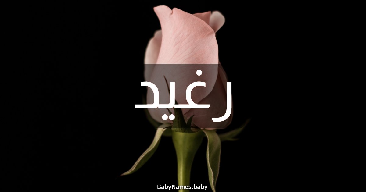 رغيد