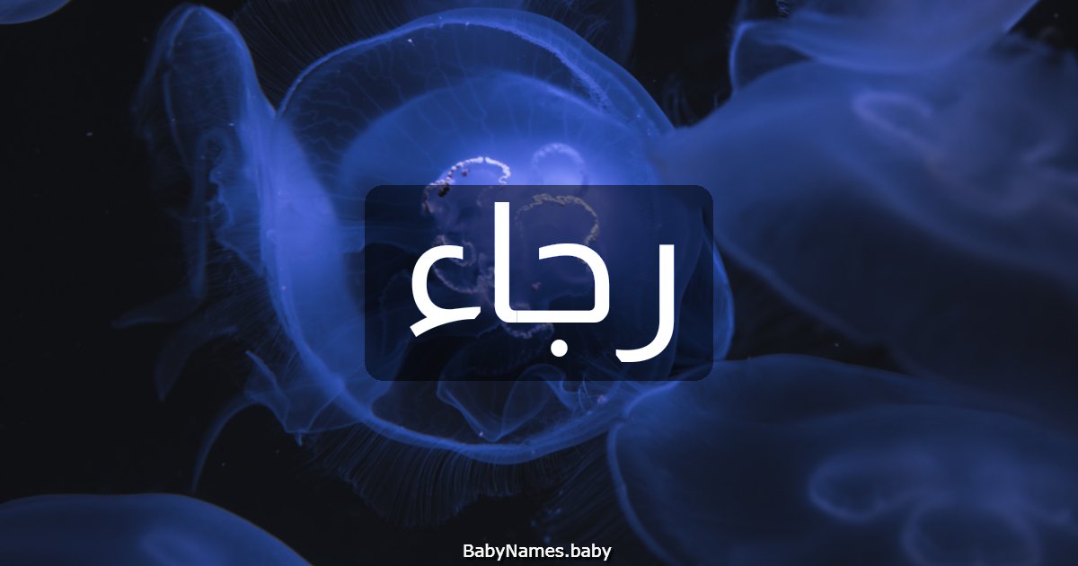 رجاء