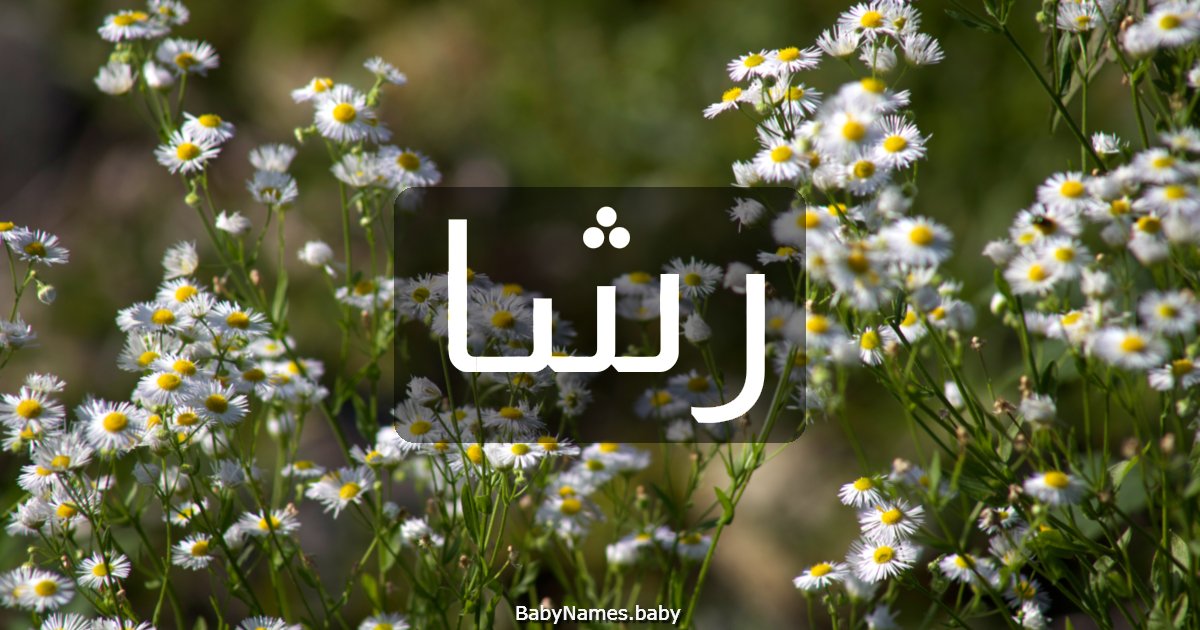 رشا