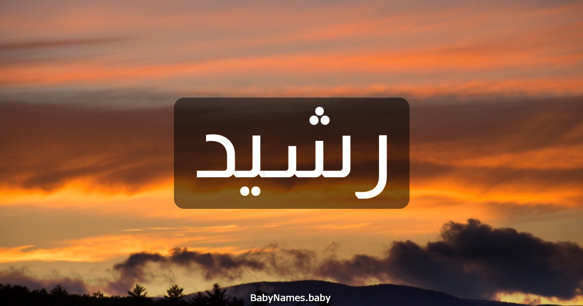 رشيد