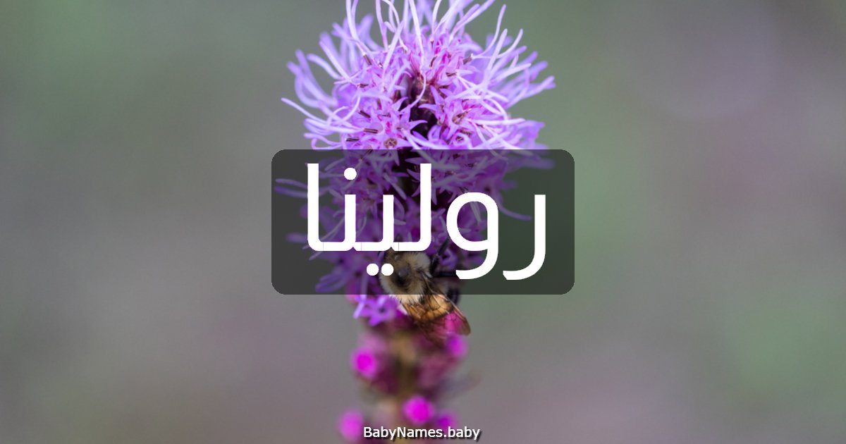 رولينا