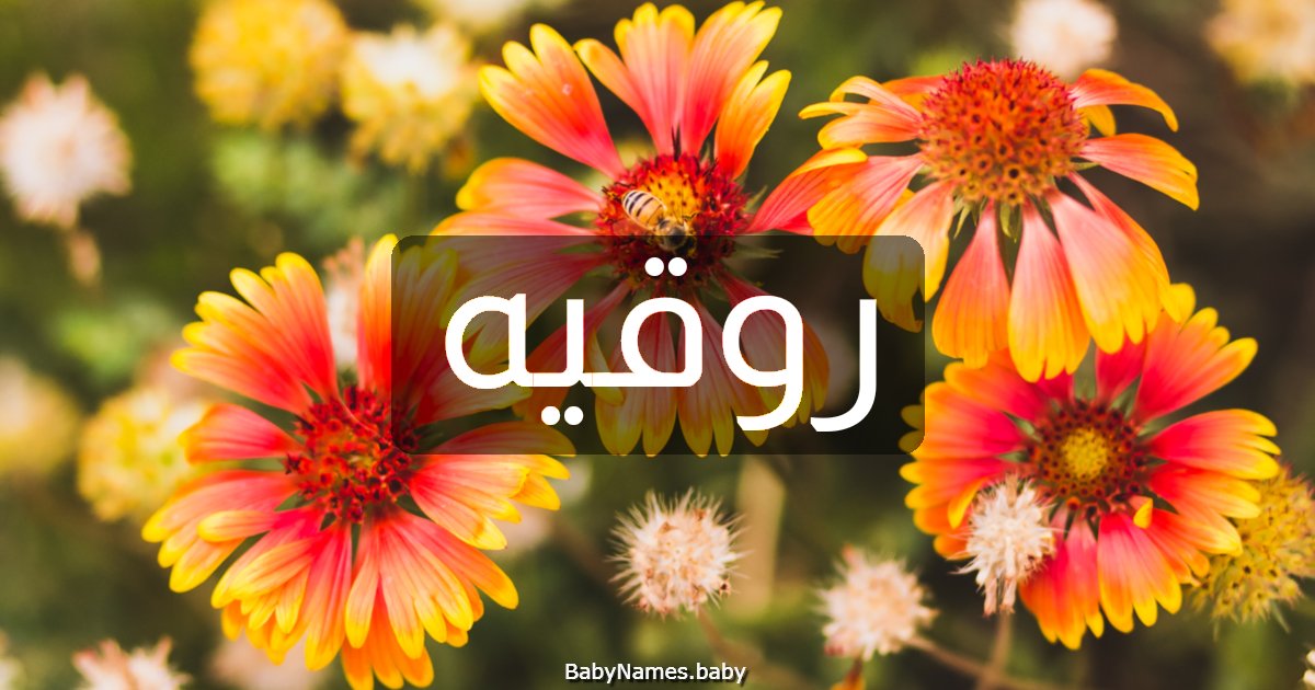 روقيه