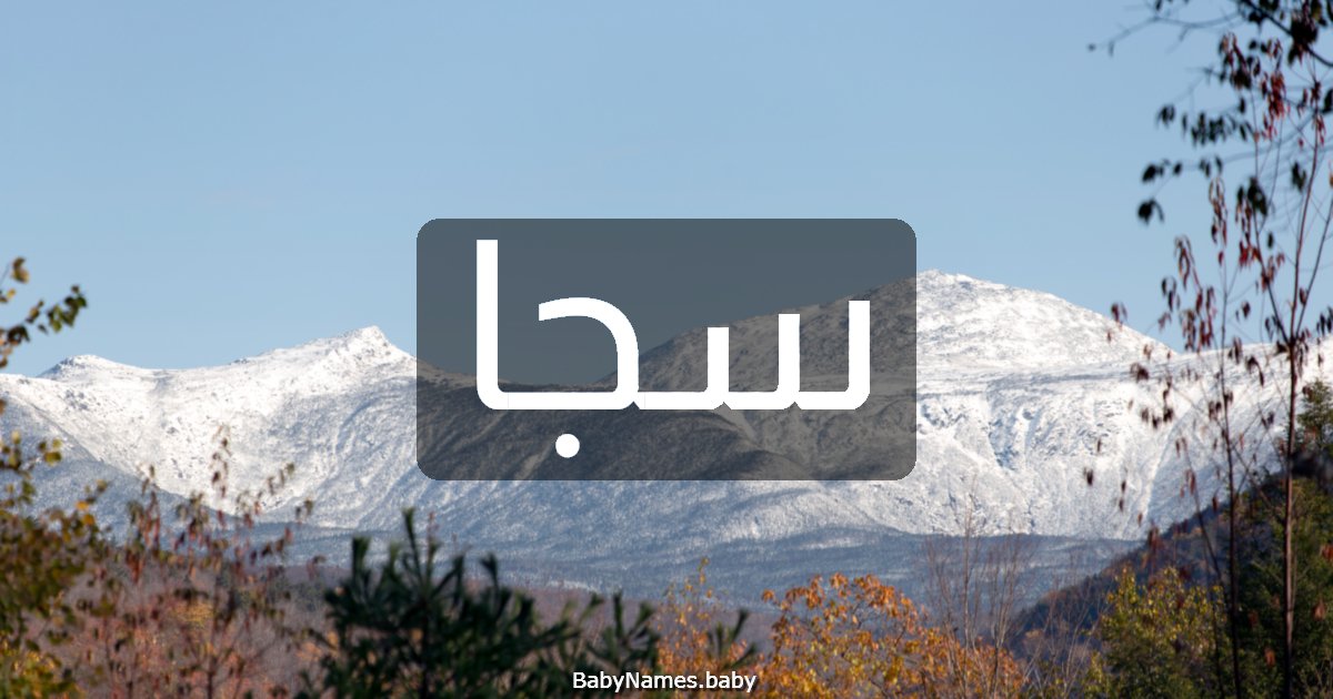 سجا
