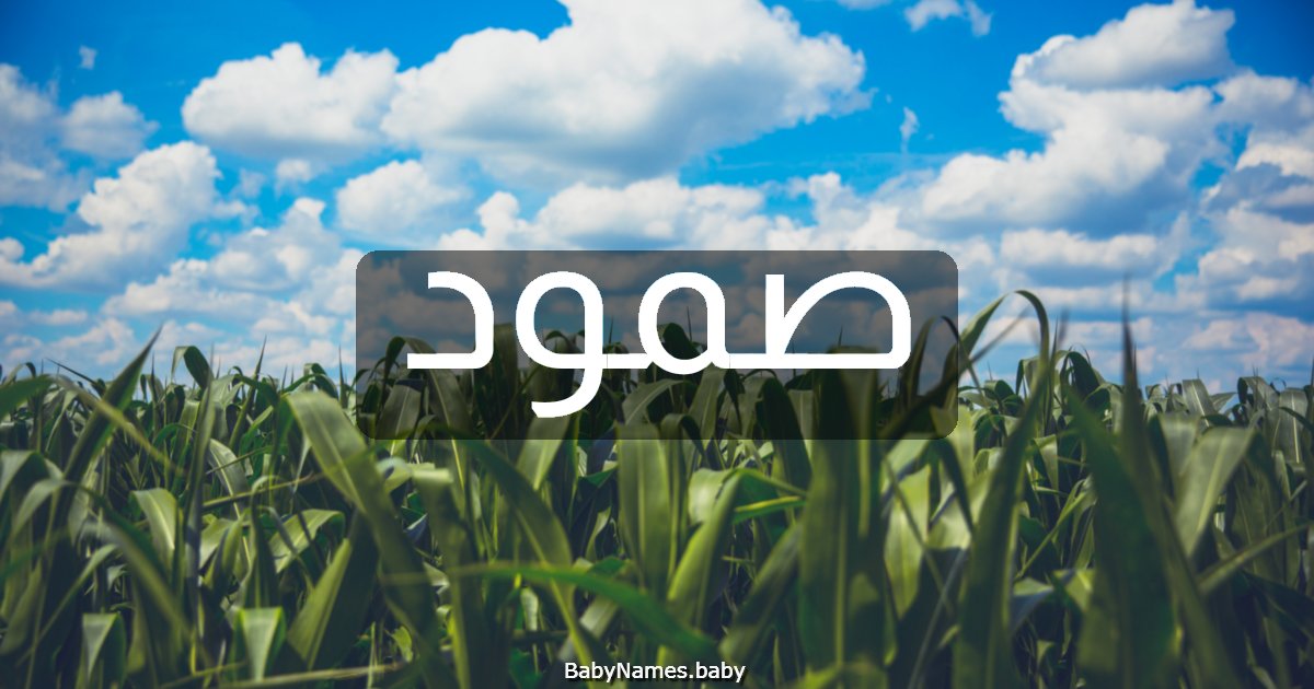 صمود