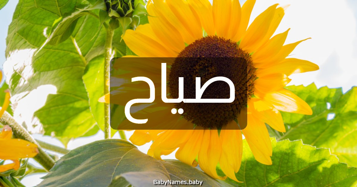 صياح