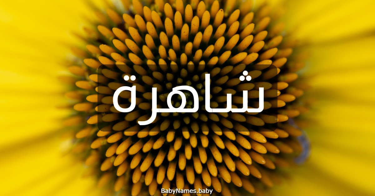 شاهرة