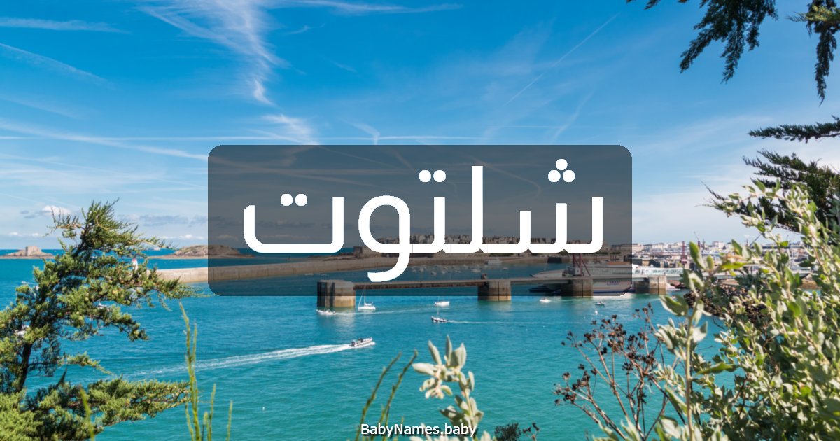 شلتوت