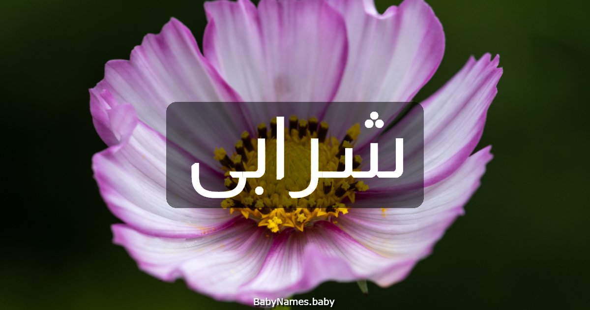 شرابى