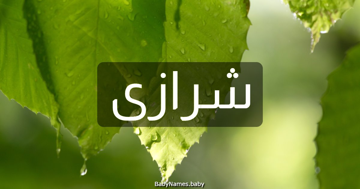 شرازى