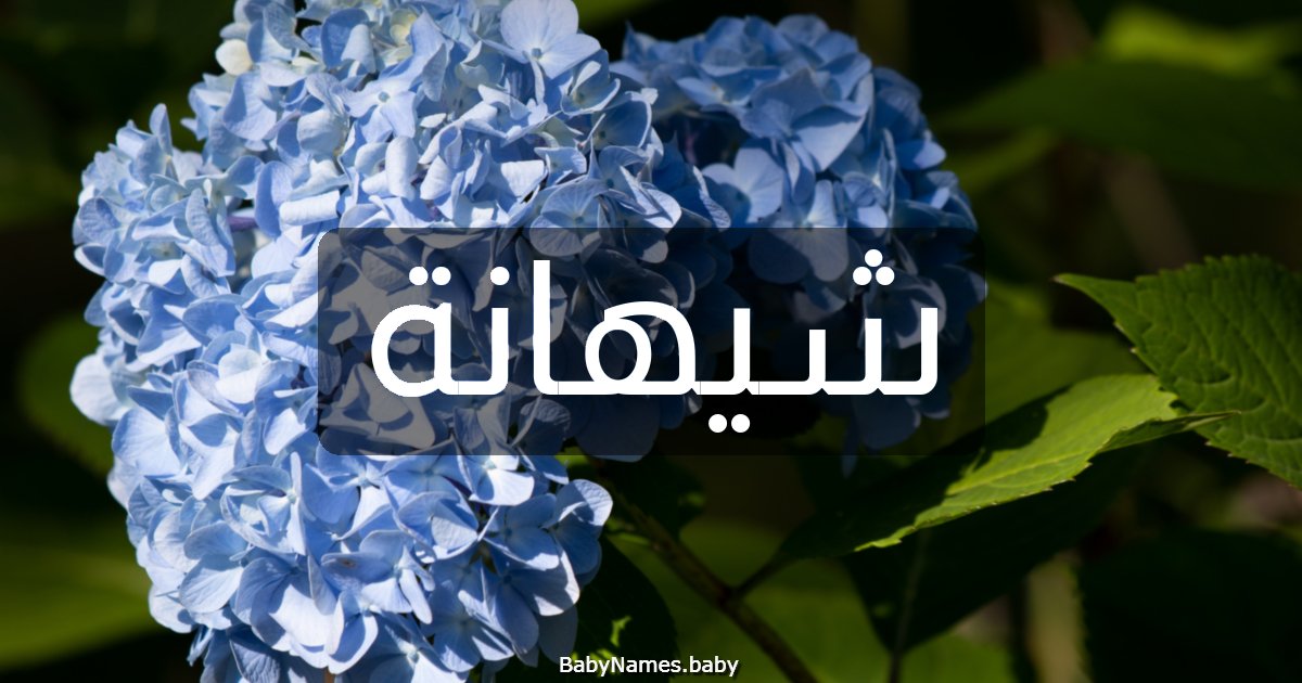 شيهانة