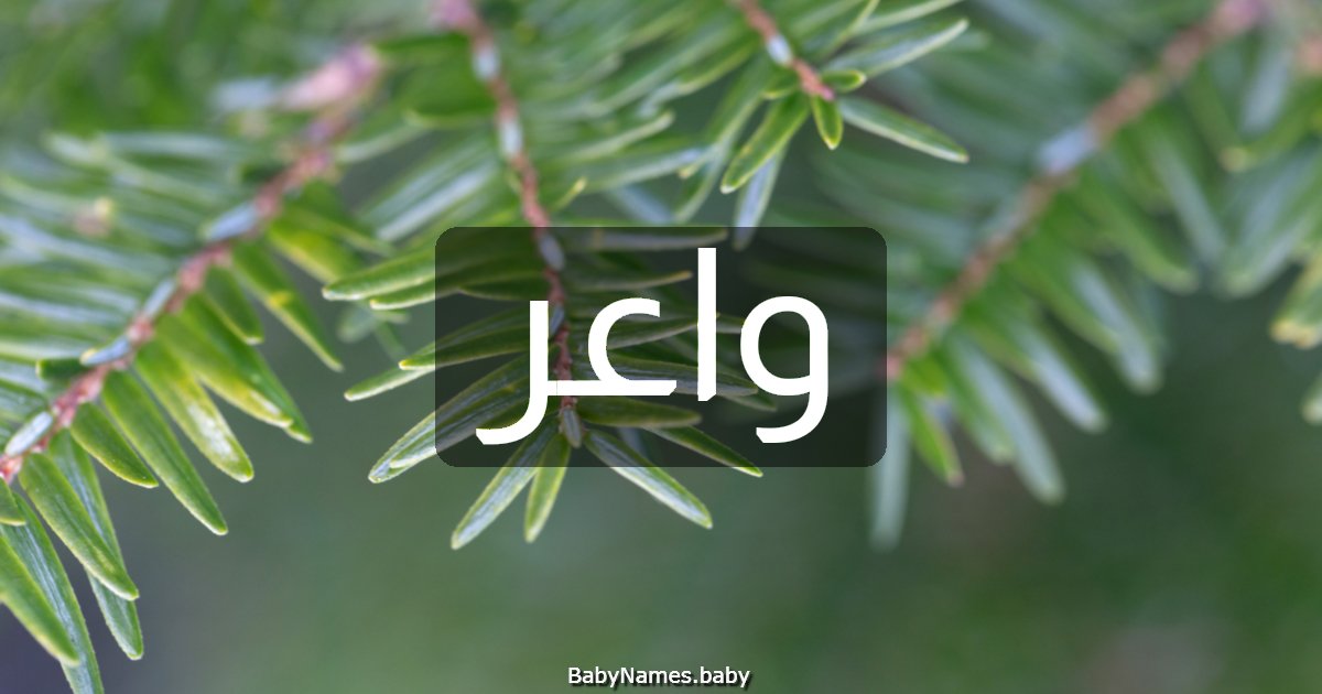 واعر