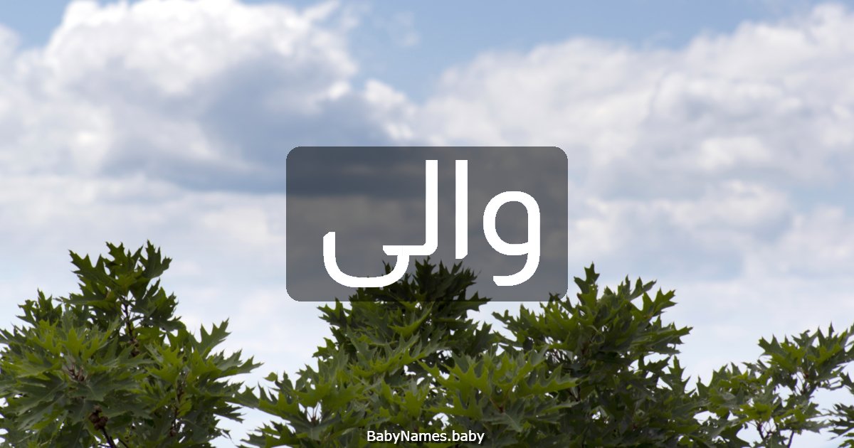 والى