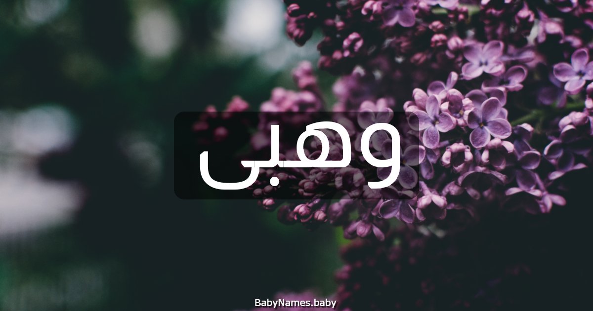 وهبى