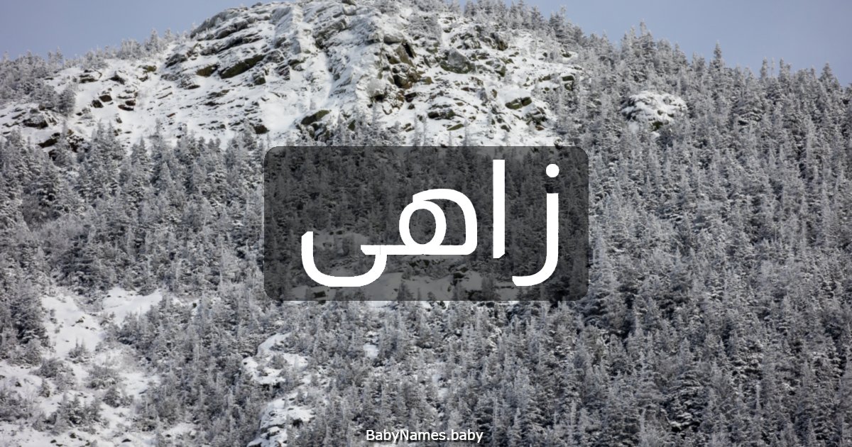 زاهى