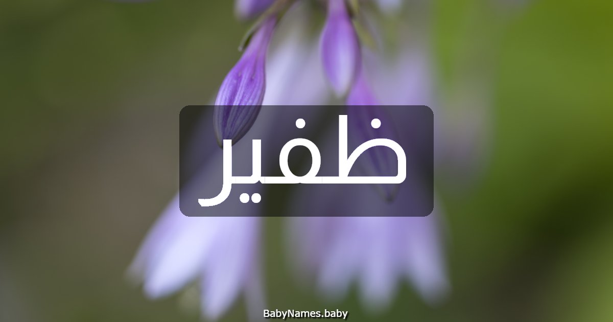 ظفير