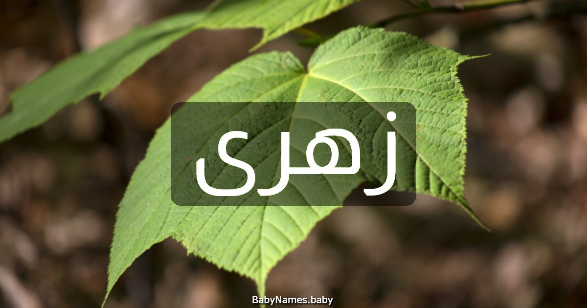 زهرى