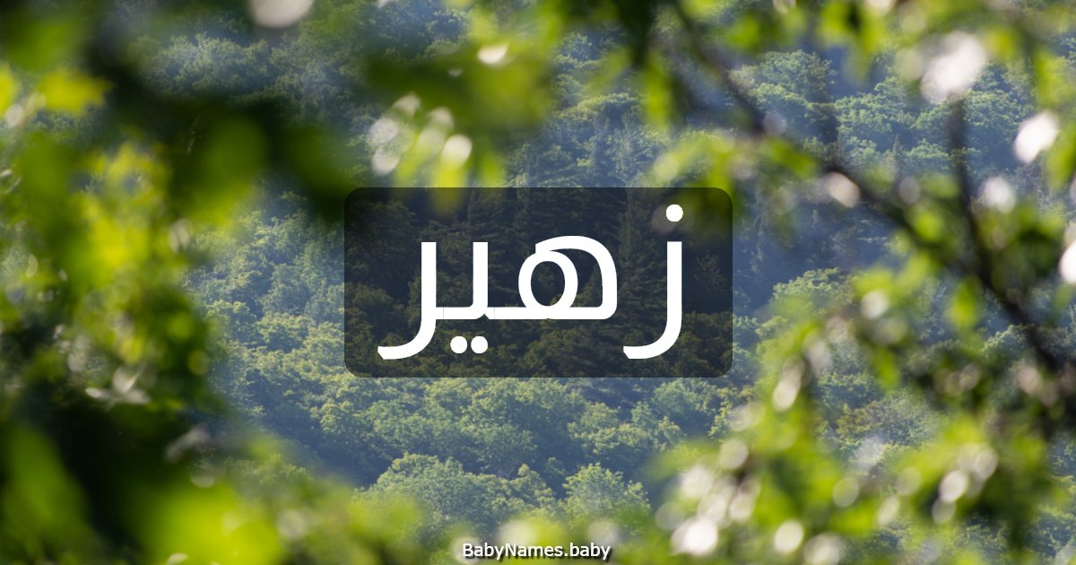 زهير