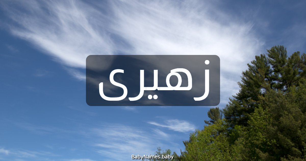 زهيرى
