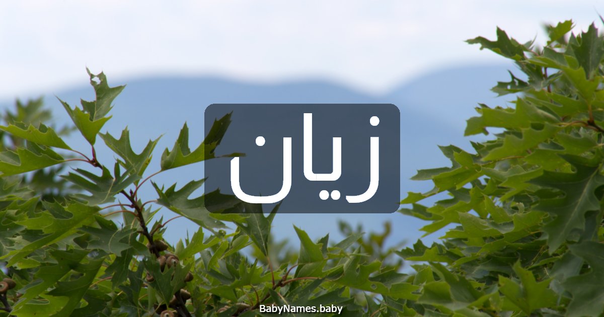 زيان