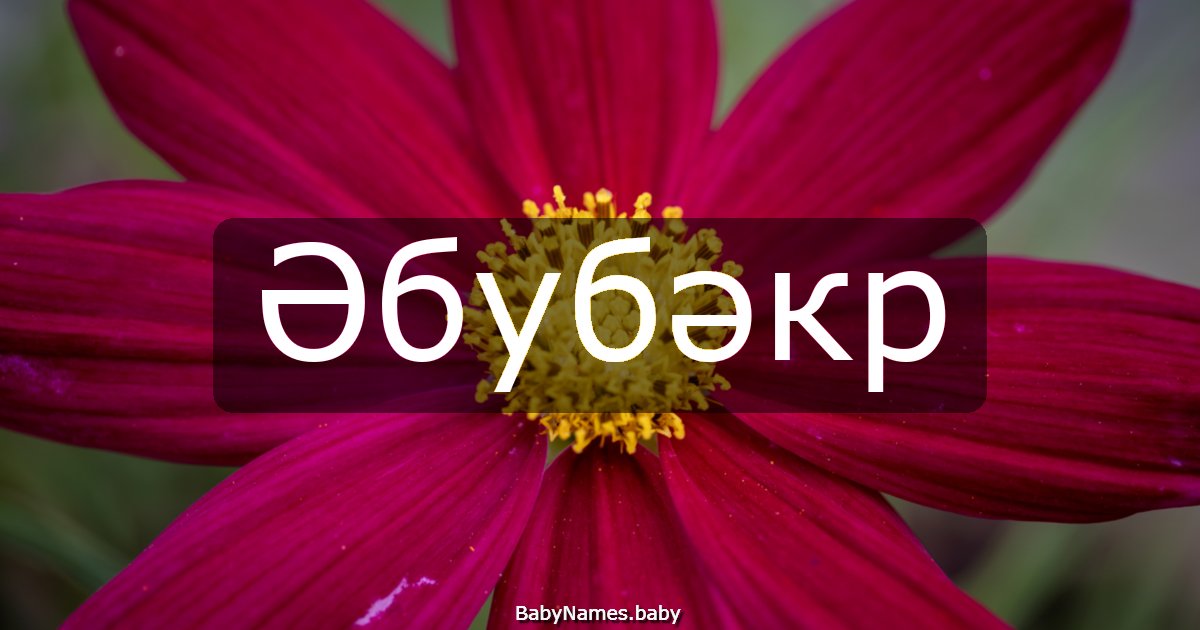 Әбубәкр