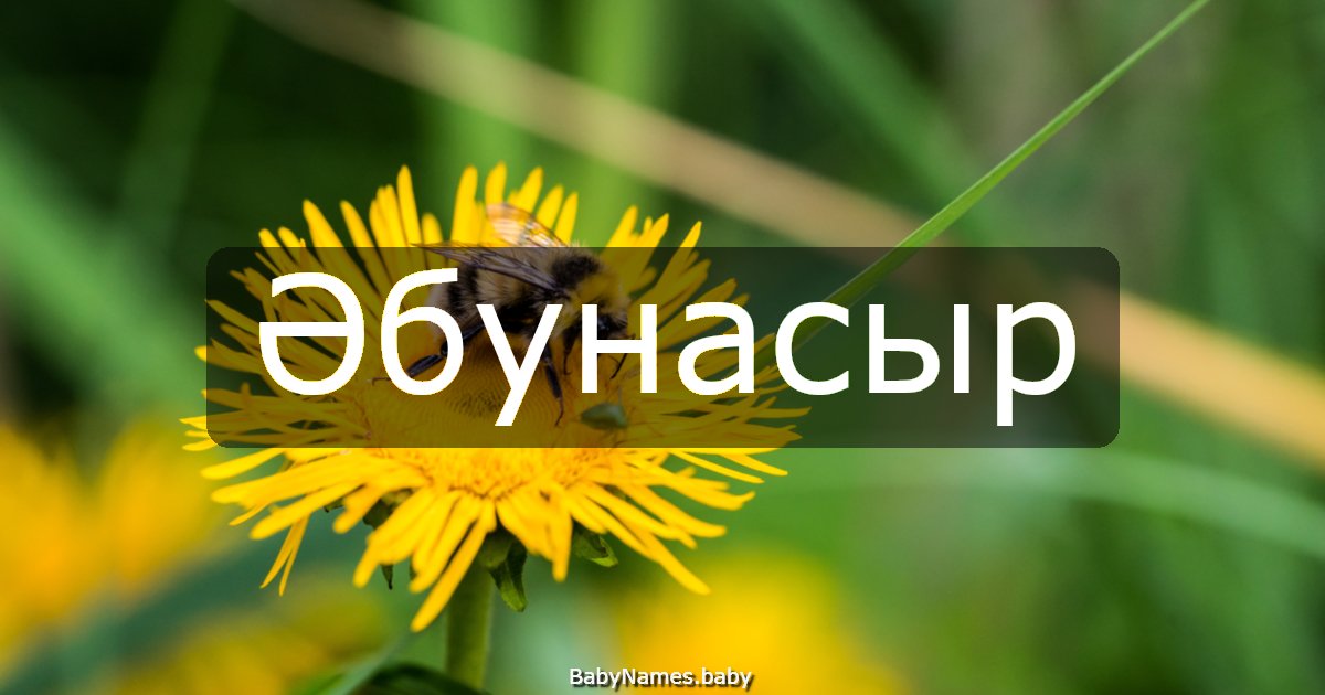 Әбунасыр