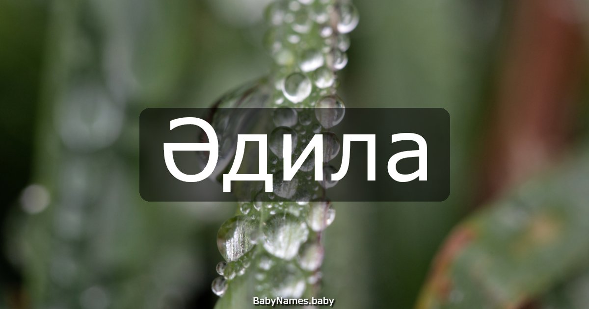 Әдила