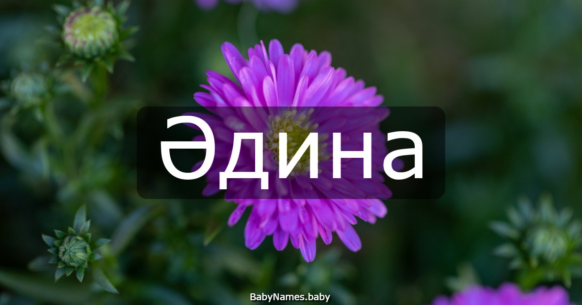 Әдина