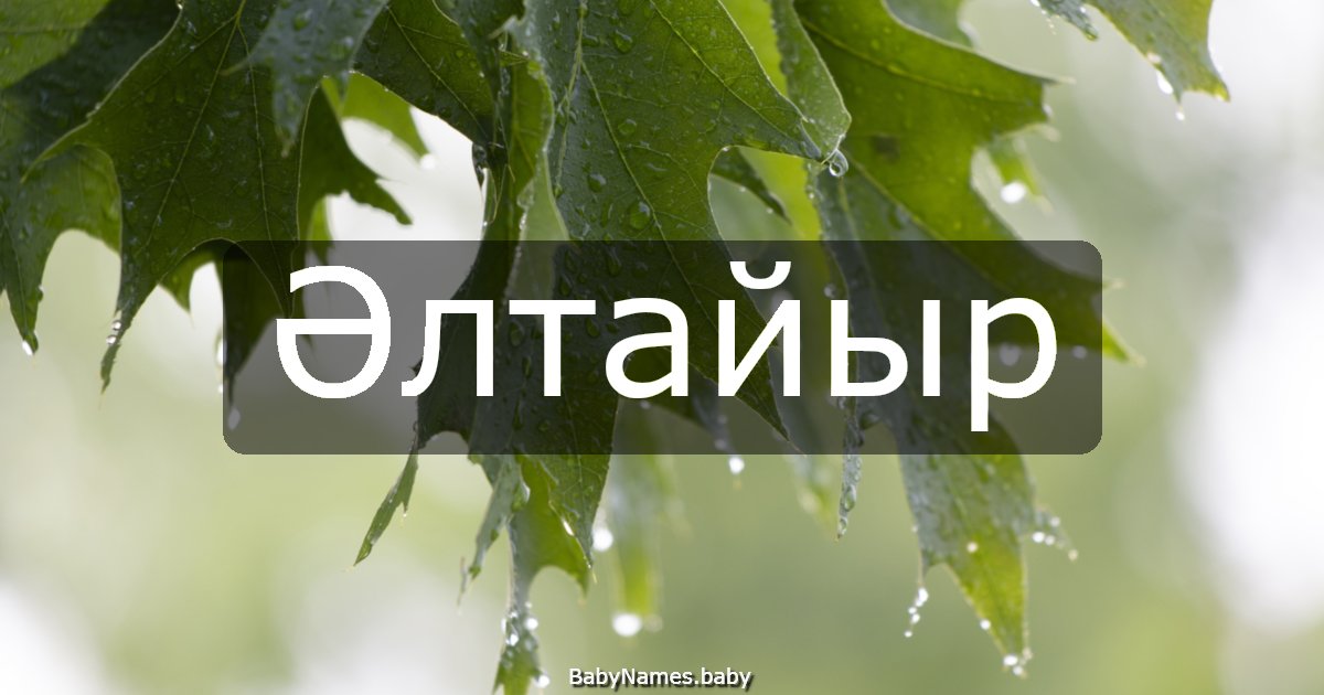 Әлтайыр