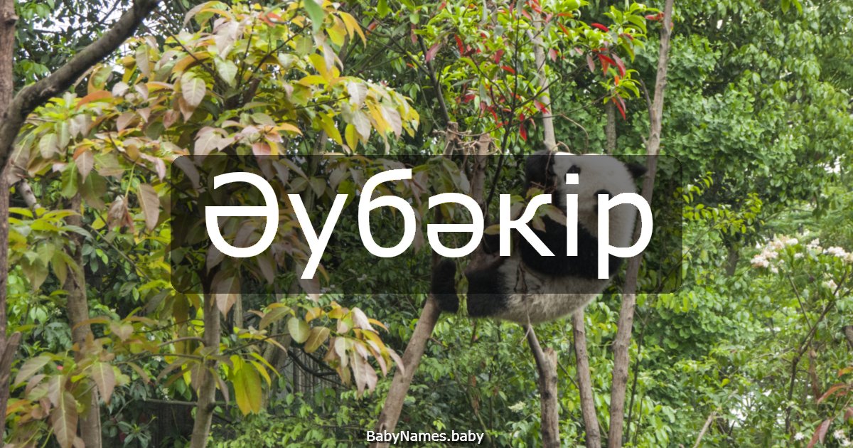 Әубәкір