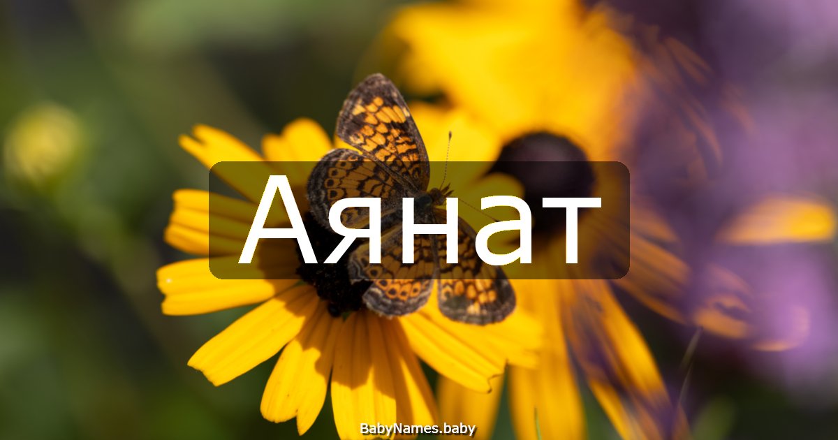 Аянат