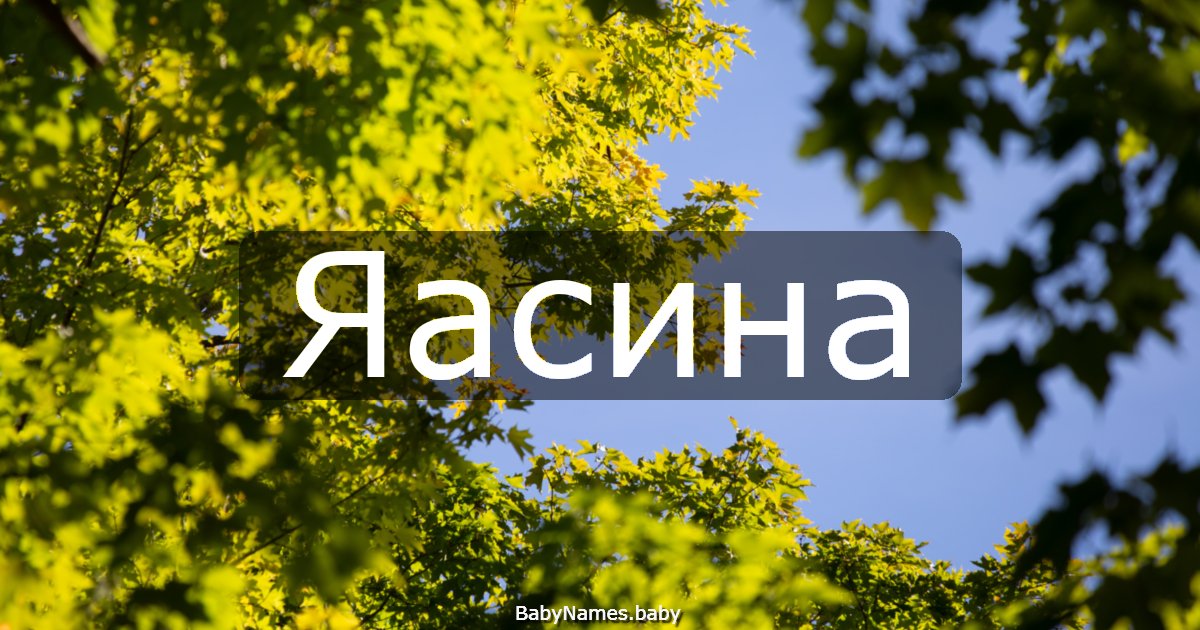 Яасина
