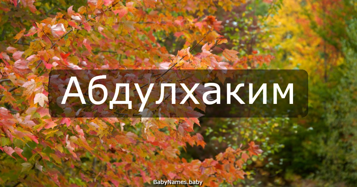 Абдулхаким